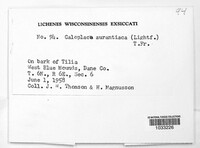 Image Associated With the Occurrence